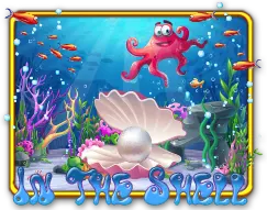 IN THE SHELL — game at Iduit88